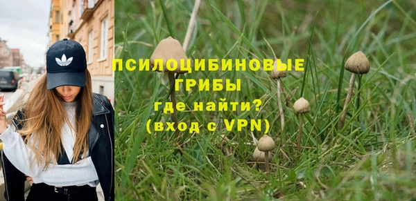 a pvp Елабуга