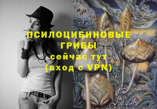 синтетический гашиш Ельня