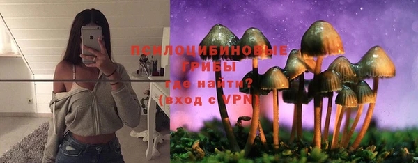 a pvp Елабуга