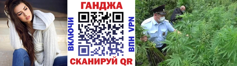 Каннабис сатива  Купить закладки  Королёв 